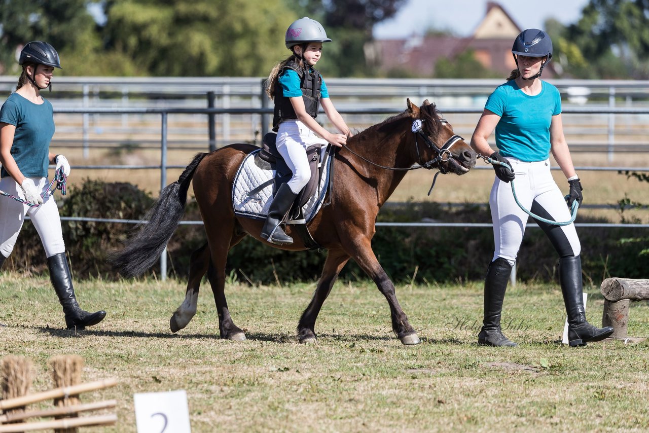 Bild 73 - Pony Akademie Turnier